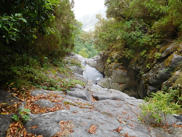09.08.2015 Levada da Faja da Rodrigues und Aufstieg zur Levada do Norte — Aufstieg auf dem Verbindungswege — Foto 9