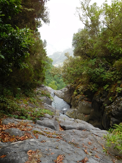 09.08.2015 Levada da Faja da Rodrigues und Aufstieg zur Levada do Norte — Aufstieg auf dem Verbindungswege — Foto 10