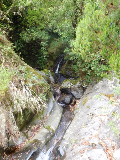 09.08.2015 Levada da Faja da Rodrigues und Aufstieg zur Levada do Norte — Aufstieg auf dem Verbindungswege — Foto 11