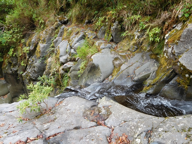 09.08.2015 Levada da Faja da Rodrigues und Aufstieg zur Levada do Norte — Aufstieg auf dem Verbindungswege — Foto 12