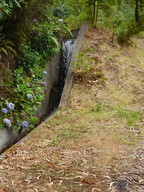 09.08.2015 Levada da Faja da Rodrigues und Aufstieg zur Levada do Norte — Von Achada do Loural bis zum verschlossenen Stollen — Foto 14