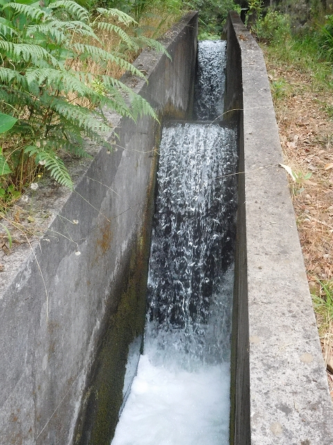 09.08.2015 Levada da Faja da Rodrigues und Aufstieg zur Levada do Norte — Von Achada do Loural bis zum s-förmigen Tunnel — Foto 5