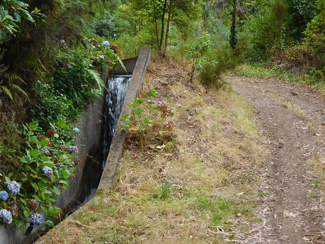 09.08.2015 Levada da Faja da Rodrigues und Aufstieg zur Levada do Norte — Von Achada do Loural bis zum s-förmigen Tunnel — Foto 1