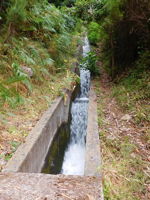 09.08.2015 Levada da Faja da Rodrigues und Aufstieg zur Levada do Norte — Von Achada do Loural bis zum s-förmigen Tunnel — Foto 8