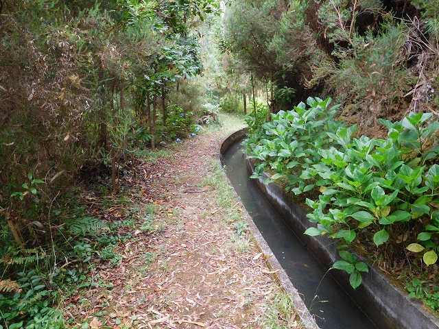 09.08.2015 Levada da Faja da Rodrigues und Aufstieg zur Levada do Norte — Von Achada do Loural bis zum s-förmigen Tunnel — Foto 9