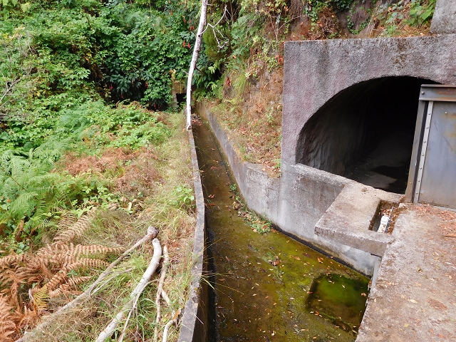 09.08.2015 Levada da Faja da Rodrigues und Aufstieg zur Levada do Norte — Vom s-förmigen Tunnel zur Schotterpiste in Ginjas — Foto 2