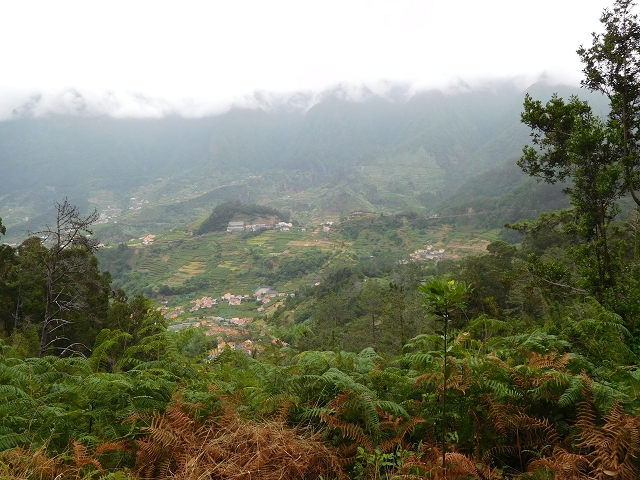 09.08.2015 Levada da Faja da Rodrigues und Aufstieg zur Levada do Norte — Vom s-förmigen Tunnel zur Schotterpiste in Ginjas — Foto 3