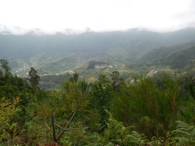 09.08.2015 Levada da Faja da Rodrigues und Aufstieg zur Levada do Norte — Vom s-förmigen Tunnel zur Schotterpiste in Ginjas — Foto 5