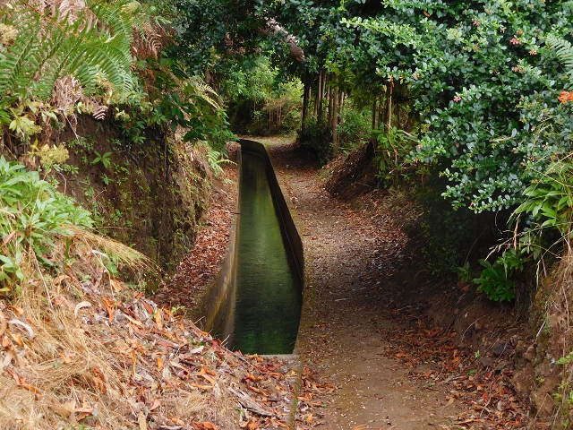 09.08.2015 Levada da Faja da Rodrigues und Aufstieg zur Levada do Norte — Vom s-förmigen Tunnel zur Schotterpiste in Ginjas — Foto 6