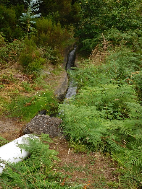 09.08.2015 Levada da Faja da Rodrigues und Aufstieg zur Levada do Norte — Von Achada do Loural bis zum verschlossenen Stollen — Foto 3