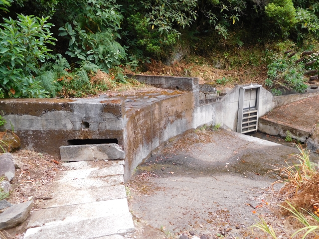 09.08.2015 Levada da Faja da Rodrigues und Aufstieg zur Levada do Norte — Vom s-förmigen Tunnel zur Schotterpiste in Ginjas — Foto 10