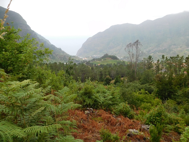 09.08.2015 Levada da Faja da Rodrigues und Aufstieg zur Levada do Norte — Vom s-förmigen Tunnel zur Schotterpiste in Ginjas — Foto 16