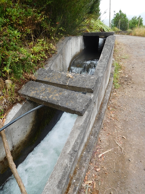 09.08.2015 Levada da Faja da Rodrigues und Aufstieg zur Levada do Norte — Von Achada do Loural bis zum verschlossenen Stollen — Foto 4