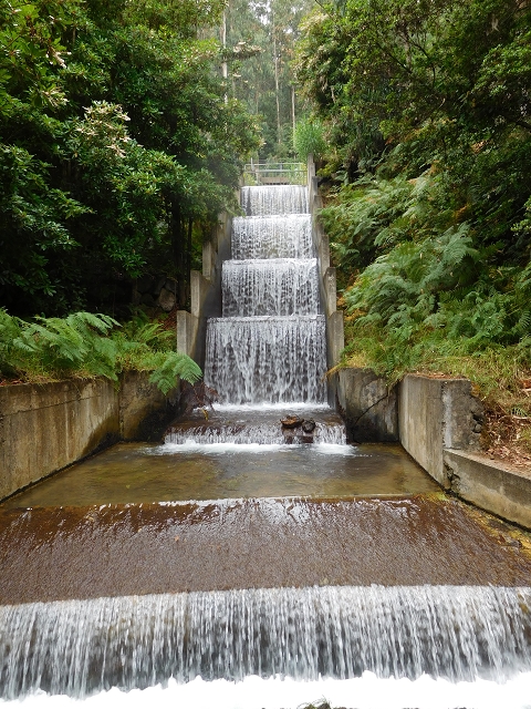 09.08.2015 Levada da Faja da Rodrigues und Aufstieg zur Levada do Norte — Faja da Ama — Foto 2