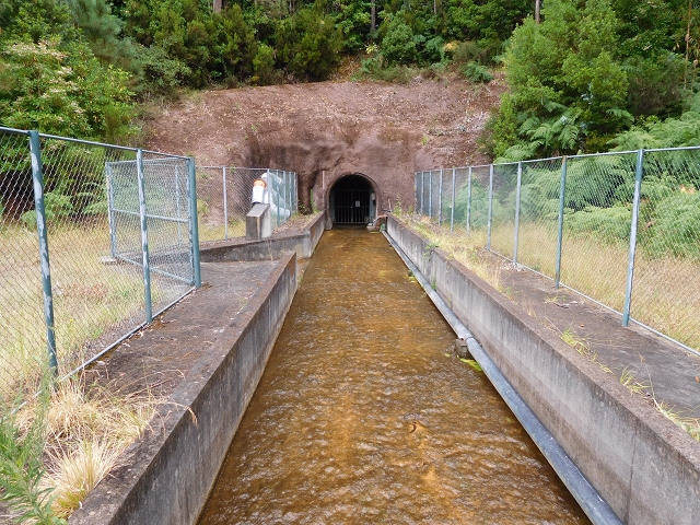 09.08.2015 Levada da Faja da Rodrigues und Aufstieg zur Levada do Norte — Faja da Ama — Foto 3
