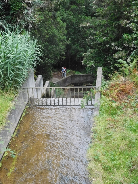 09.08.2015 Levada da Faja da Rodrigues und Aufstieg zur Levada do Norte — Faja da Ama — Foto 5
