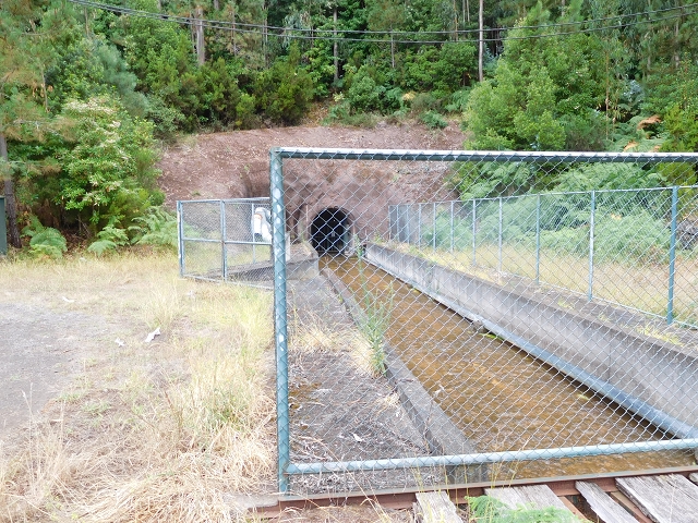 09.08.2015 Levada da Faja da Rodrigues und Aufstieg zur Levada do Norte — Faja da Ama — Foto 6