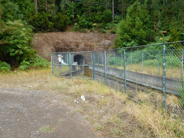09.08.2015 Levada da Faja da Rodrigues und Aufstieg zur Levada do Norte — Faja da Ama — Foto 7