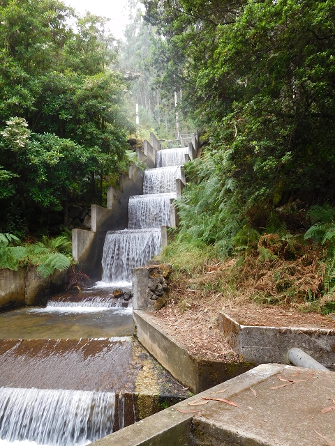 09.08.2015 Levada da Faja da Rodrigues und Aufstieg zur Levada do Norte — Faja da Ama — Foto 9