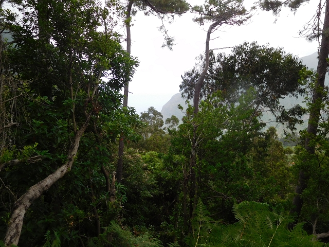 09.08.2015 Levada da Faja da Rodrigues und Aufstieg zur Levada do Norte — Faja da Ama bis zum grossen Kessel — Foto 1