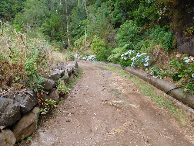09.08.2015 Levada da Faja da Rodrigues und Aufstieg zur Levada do Norte — Von Achada do Loural bis zum verschlossenen Stollen — Foto 5