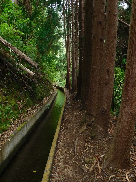 09.08.2015 Levada da Faja da Rodrigues und Aufstieg zur Levada do Norte — Faja da Ama bis zum grossen Kessel — Foto 2
