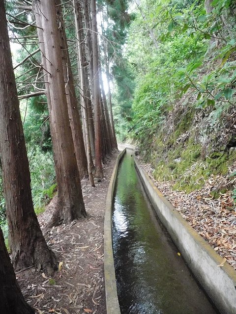 09.08.2015 Levada da Faja da Rodrigues und Aufstieg zur Levada do Norte — Faja da Ama bis zum grossen Kessel — Foto 3