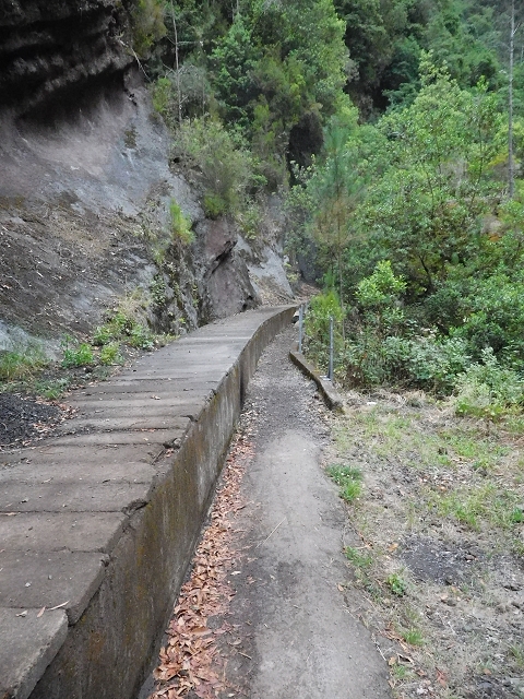 09.08.2015 Levada da Faja da Rodrigues und Aufstieg zur Levada do Norte — Faja da Ama bis zum grossen Kessel — Foto 4