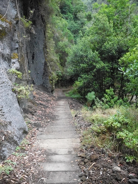 09.08.2015 Levada da Faja da Rodrigues und Aufstieg zur Levada do Norte — Faja da Ama bis zum grossen Kessel — Foto 5