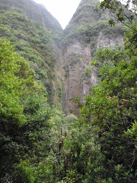 09.08.2015 Levada da Faja da Rodrigues und Aufstieg zur Levada do Norte — Faja da Ama bis zum grossen Kessel — Foto 6