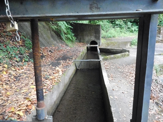 09.08.2015 Levada da Faja da Rodrigues und Aufstieg zur Levada do Norte — Faja da Ama bis zum grossen Kessel — Foto 8