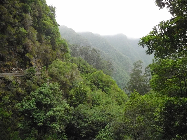 09.08.2015 Levada da Faja da Rodrigues und Aufstieg zur Levada do Norte — Der grosse Kessel — Foto 3