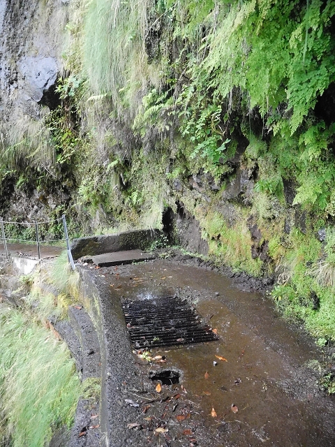 09.08.2015 Levada da Faja da Rodrigues und Aufstieg zur Levada do Norte — Der grosse Kessel — Foto 9