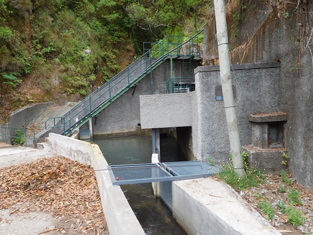 09.08.2015 Levada da Faja da Rodrigues und Aufstieg zur Levada do Norte — Von Achada do Loural bis zum verschlossenen Stollen — Foto 7