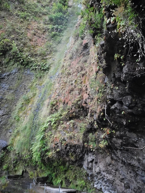 09.08.2015 Levada da Faja da Rodrigues und Aufstieg zur Levada do Norte — Der grosse Kessel — Foto 10