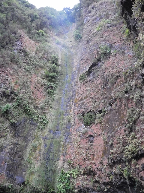 09.08.2015 Levada da Faja da Rodrigues und Aufstieg zur Levada do Norte — Der grosse Kessel — Foto 12