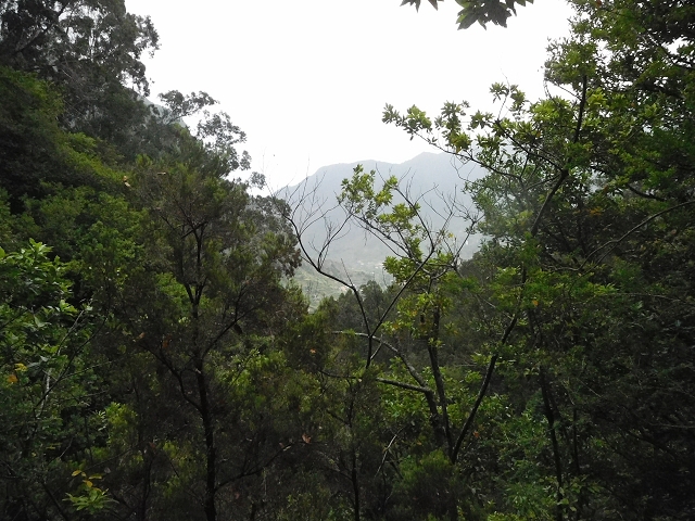 09.08.2015 Levada da Faja da Rodrigues und Aufstieg zur Levada do Norte — Der grosse Kessel — Foto 14