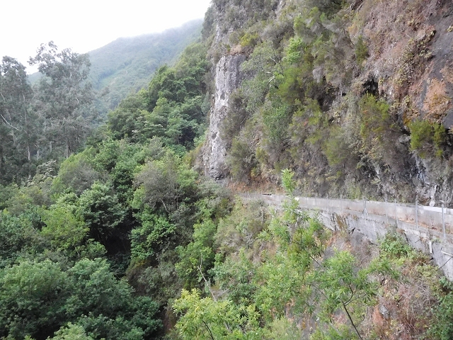 09.08.2015 Levada da Faja da Rodrigues und Aufstieg zur Levada do Norte — Bis zur Ribeira do Passo — Foto 4