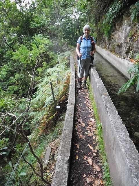09.08.2015 Levada da Faja da Rodrigues und Aufstieg zur Levada do Norte — Bis zur Ribeira do Passo — Foto 5