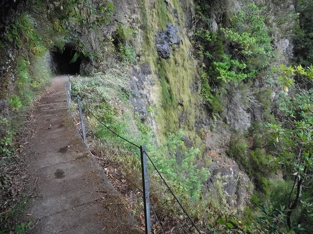 09.08.2015 Levada da Faja da Rodrigues und Aufstieg zur Levada do Norte — Bis zur Ribeira do Passo — Foto 8