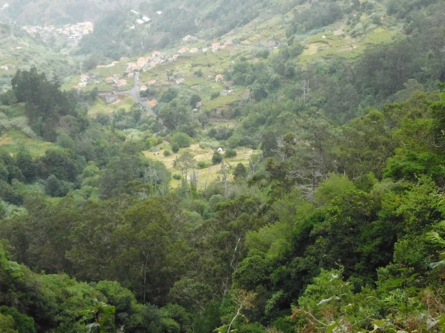 09.08.2015 Levada da Faja da Rodrigues und Aufstieg zur Levada do Norte — Bis zur Ribeira do Passo — Foto 10