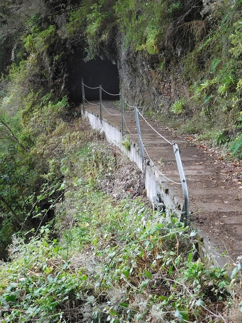 09.08.2015 Levada da Faja da Rodrigues und Aufstieg zur Levada do Norte — Bis zur Ribeira do Passo — Foto 11