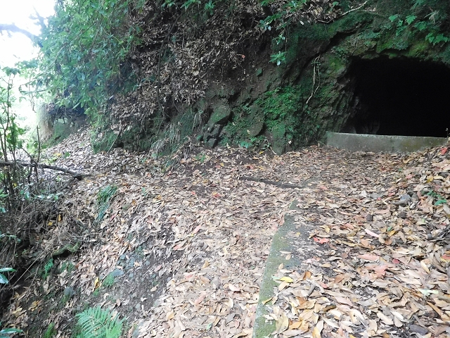 09.08.2015 Levada da Faja da Rodrigues und Aufstieg zur Levada do Norte — Bis zur Ribeira do Passo — Foto 13
