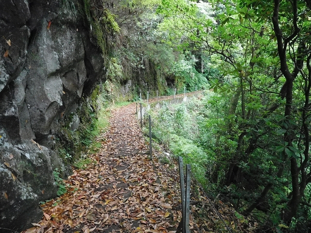 09.08.2015 Levada da Faja da Rodrigues und Aufstieg zur Levada do Norte — Bis zur Ribeira do Passo — Foto 16