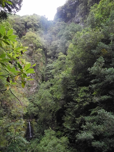 09.08.2015 Levada da Faja da Rodrigues und Aufstieg zur Levada do Norte — Bis zur Ribeira do Passo — Foto 19