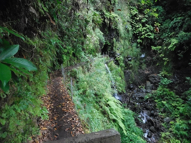 09.08.2015 Levada da Faja da Rodrigues und Aufstieg zur Levada do Norte — Bis zur Ribeira do Passo — Foto 22
