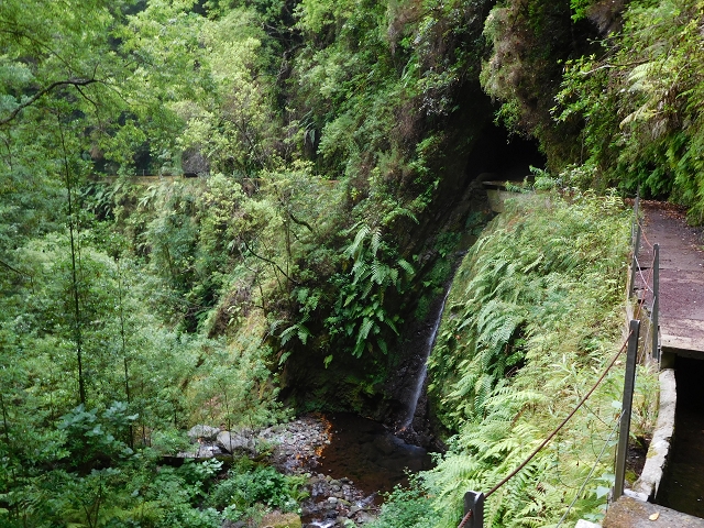 09.08.2015 Levada da Faja da Rodrigues und Aufstieg zur Levada do Norte — Bis zur Ribeira do Passo — Foto 23