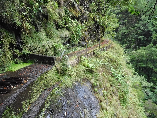 09.08.2015 Levada da Faja da Rodrigues und Aufstieg zur Levada do Norte — Ribeira do Inferno und Madre — Foto 2
