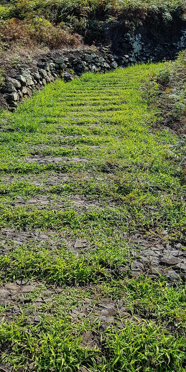 09.08.2021 Abwechslungsreiche Runde über die Boca das Voltas — Die Ruinen und zurück zum Ausgangspunkt — Foto 6