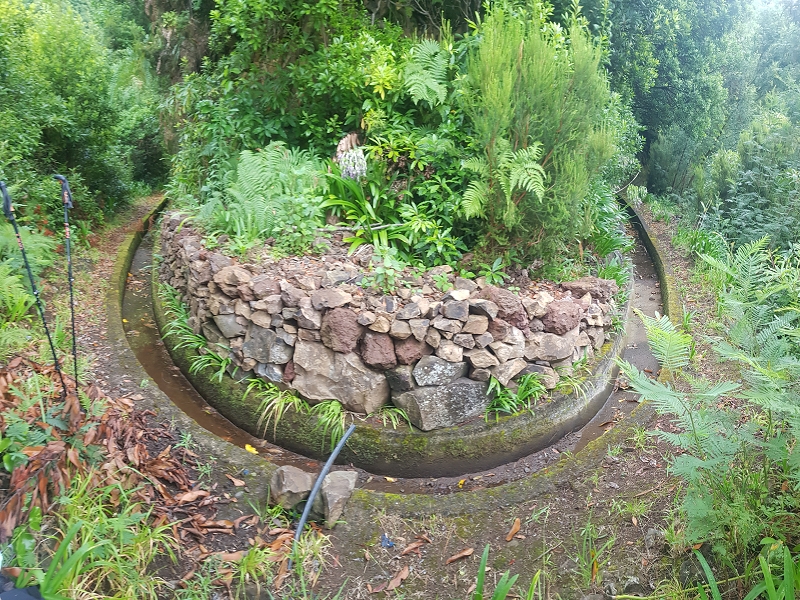 09.08.2021 Abwechslungsreiche Runde über die Boca das Voltas — Aufstieg zur Levada das Faias und auf dieser zum dritten Niveauübergang — Foto 2